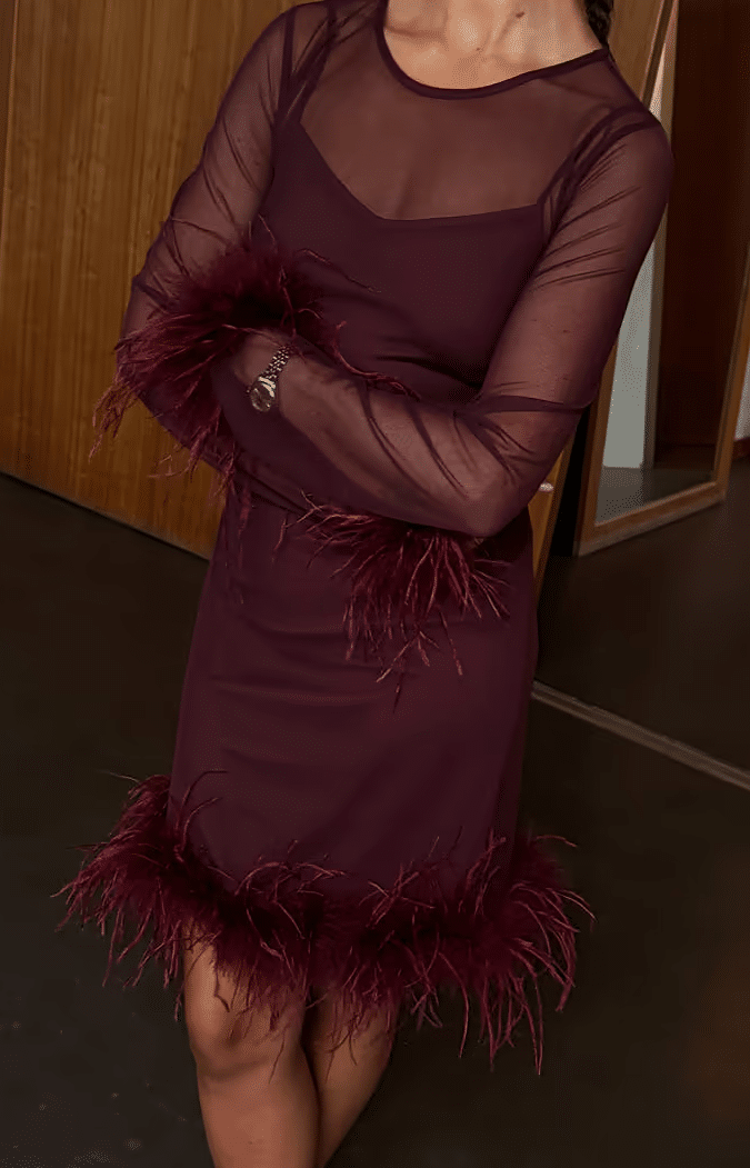 Never Fully Dressed WINE MESH FEATHER MINI DRESS