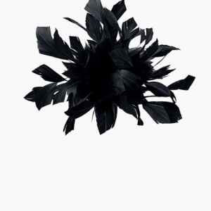 Boardmans “Atalee” Black Feather Fascinator 
