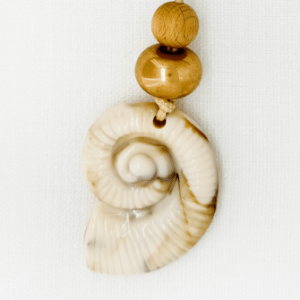Envy Shell Pendant Necklace