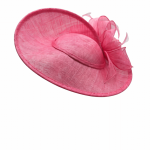 Failsworth Flamingo Sinamay Disc Fascinator