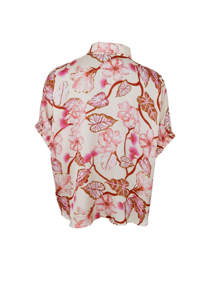 Black Colour Zelene Shirt Blouse - Coral